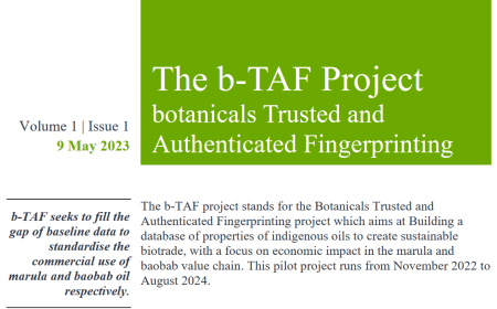 Screenshot 2023-09-28 at 15-34-44 b-TAF-Newsletter-Vol-1-Ed-1.pdf