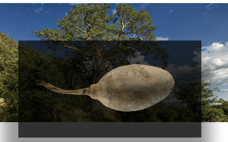 Screenshot 2025-03-25 at 06.15.33